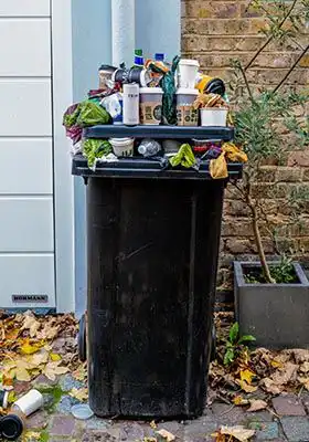 Home and Business Waste Collection